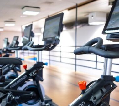 Adobe Express – File